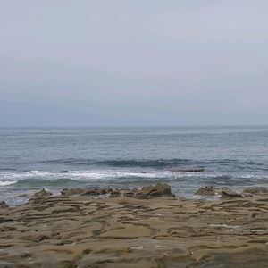 Meet your Posher, Bridgett